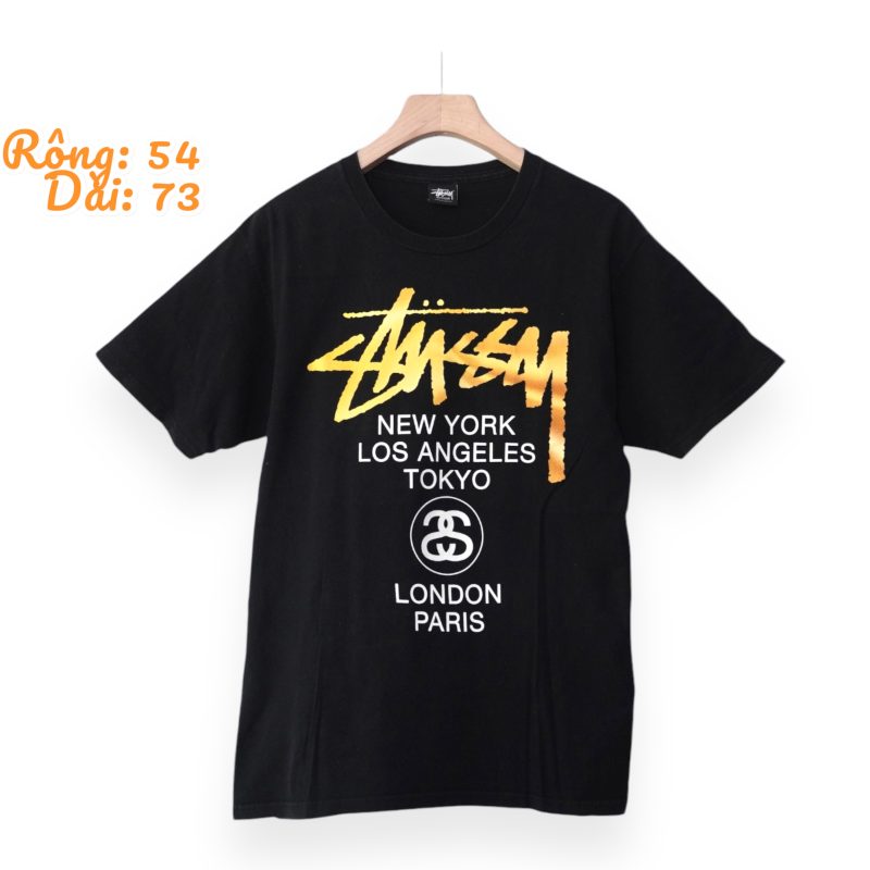 (L) World Tour Stussy Gold / Authentic