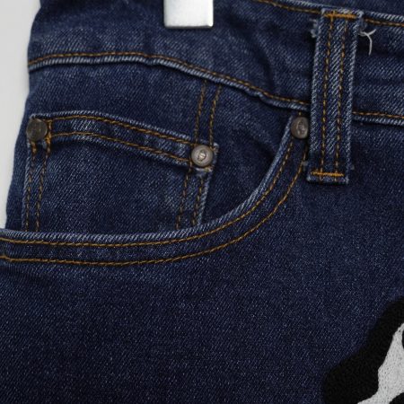 (32) Denim BBC IceCream Running Dog /9.5 - Hình ảnh 4