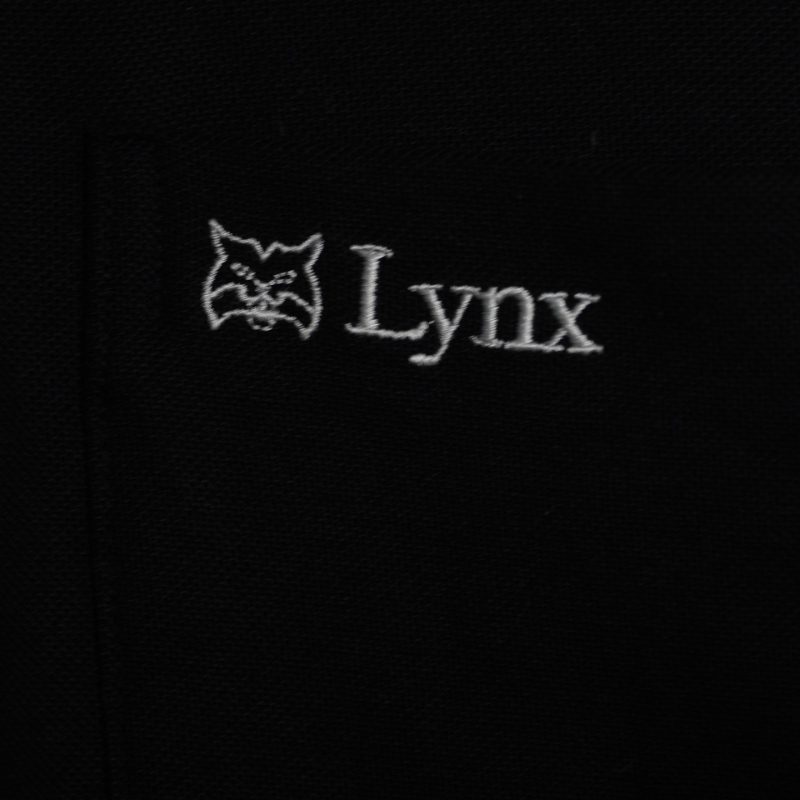 ✅ Polo Lynx, - Ảnh 4
